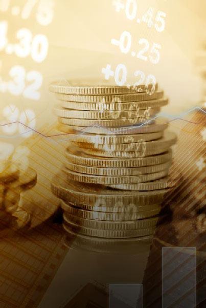 NRI & Foreign Direct Investments